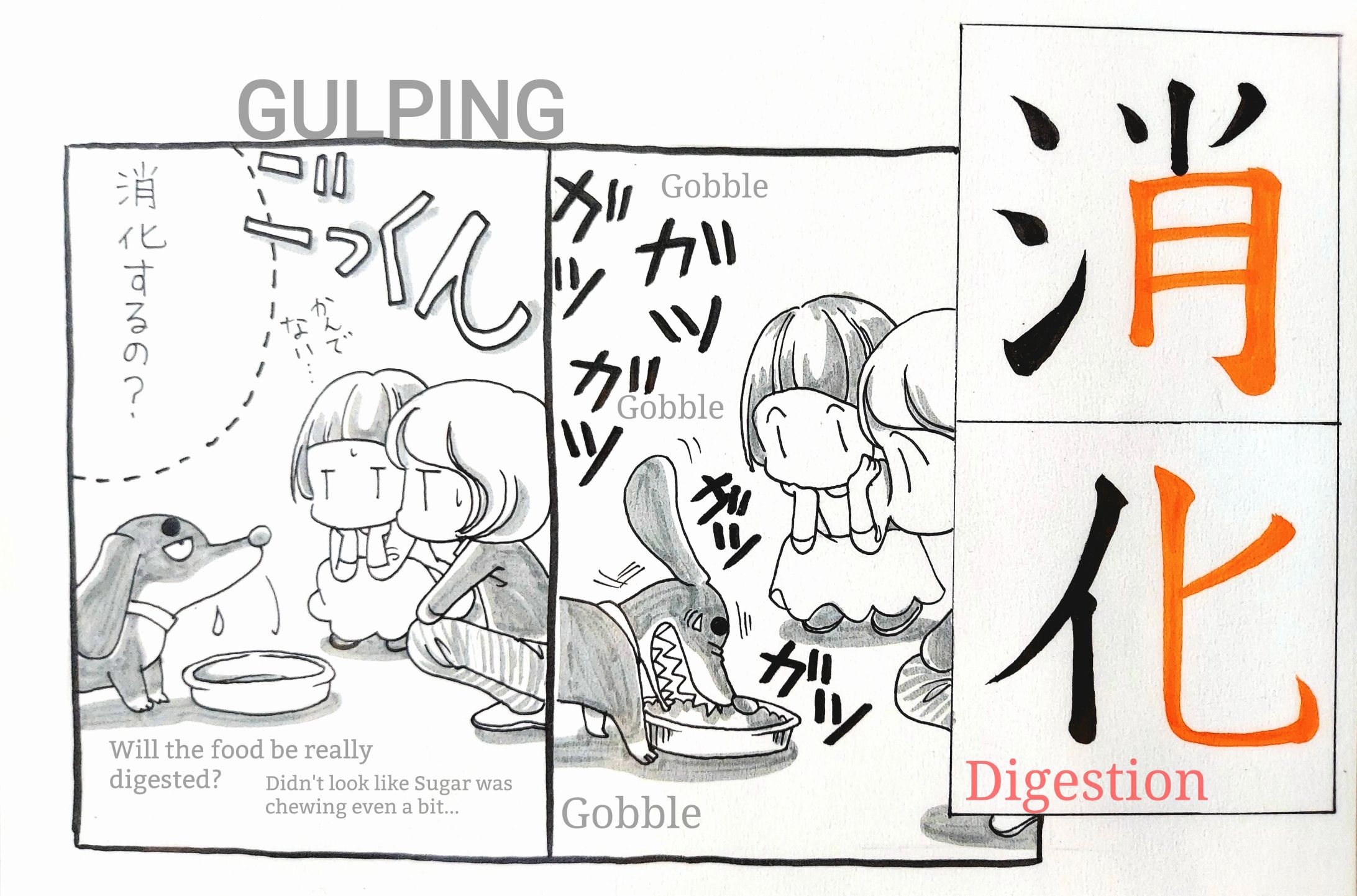 Kanji cards 2-1