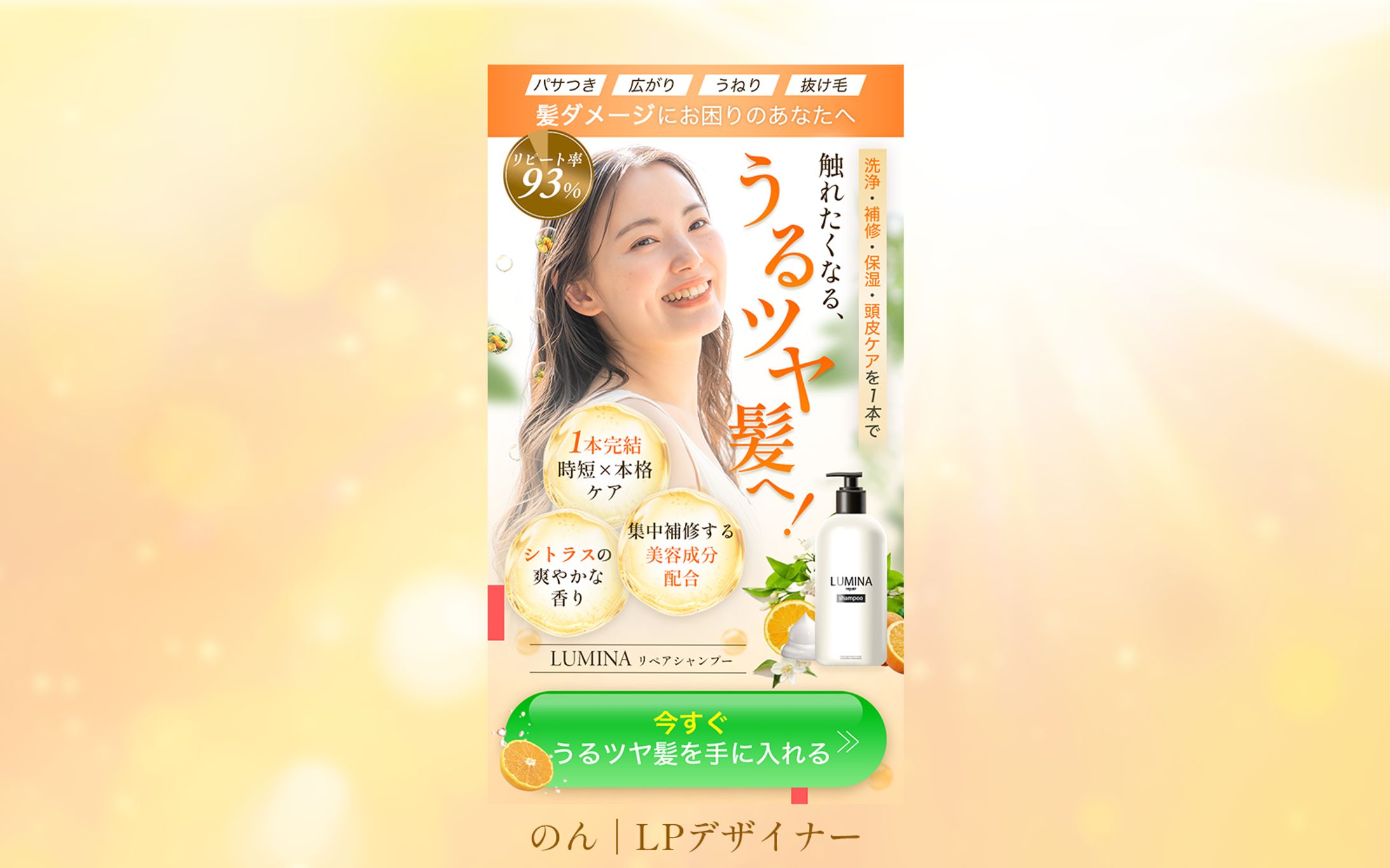 ヘアケアシャンプー FV-1