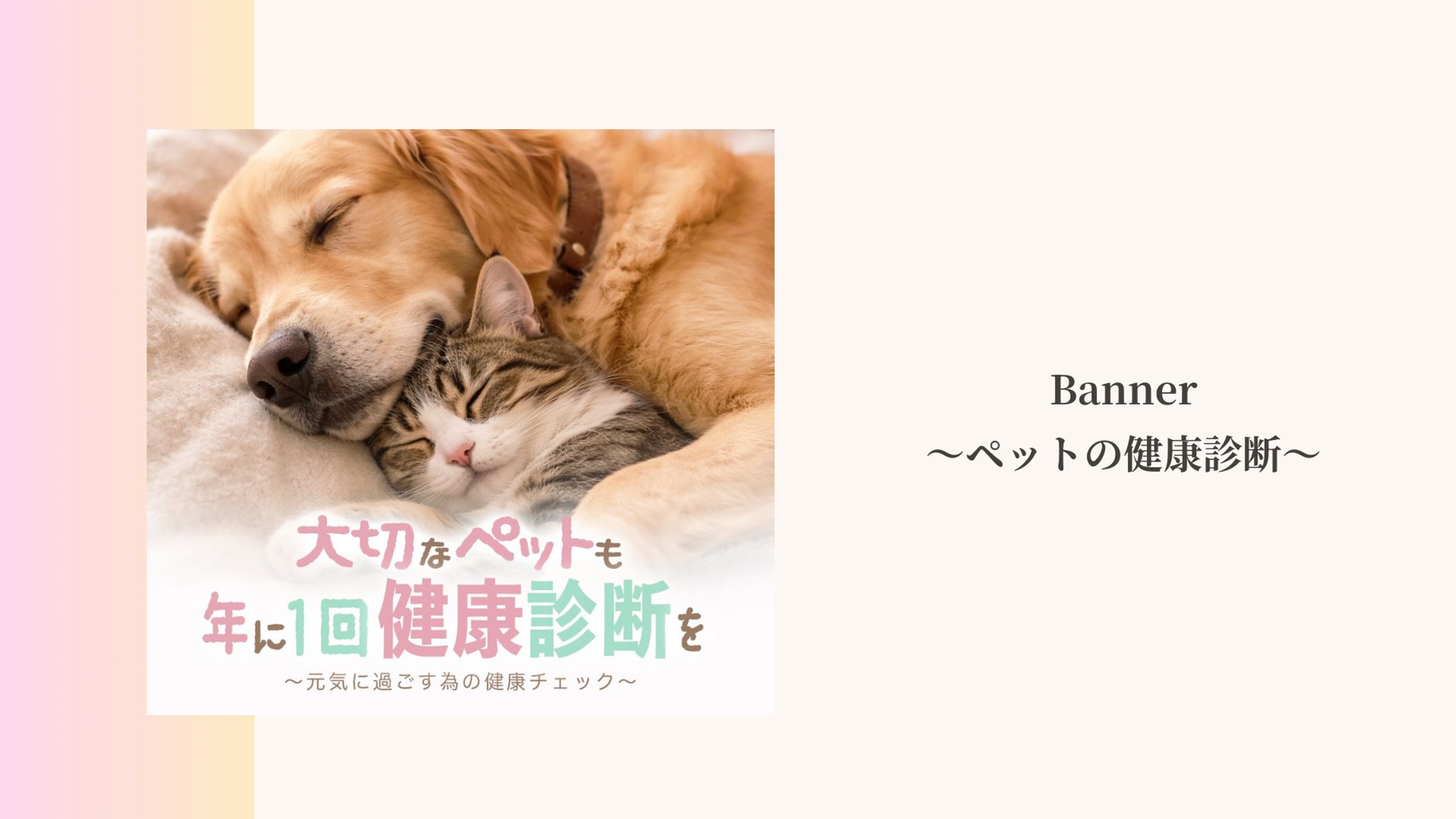 バナー　ペットの健康診断-1