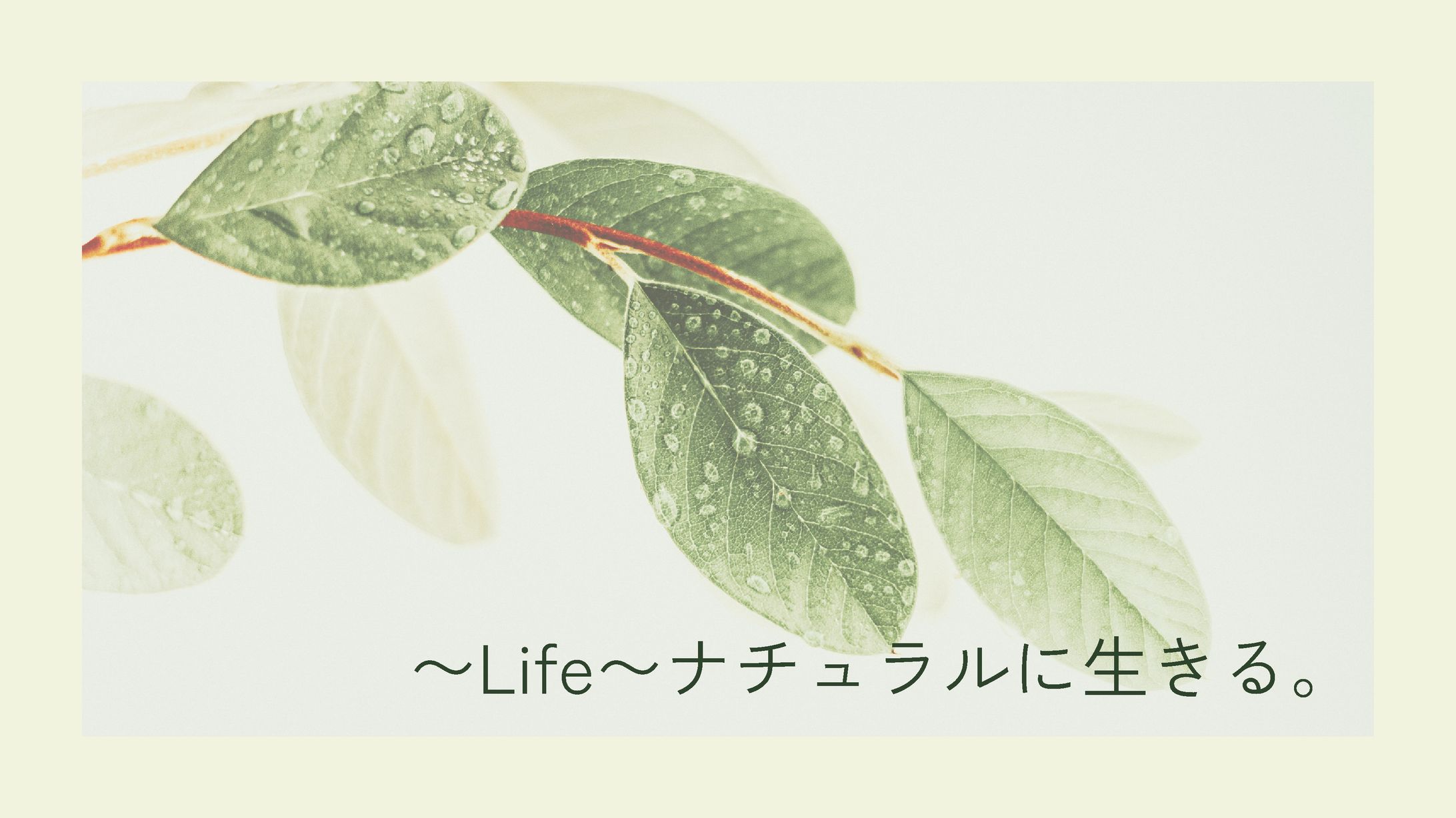 資料作成-1
