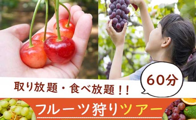 バナー：フルーツ狩り