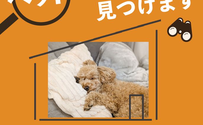 ペット可の賃貸専門の不動産