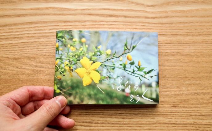 花の写真集　はなのきろく