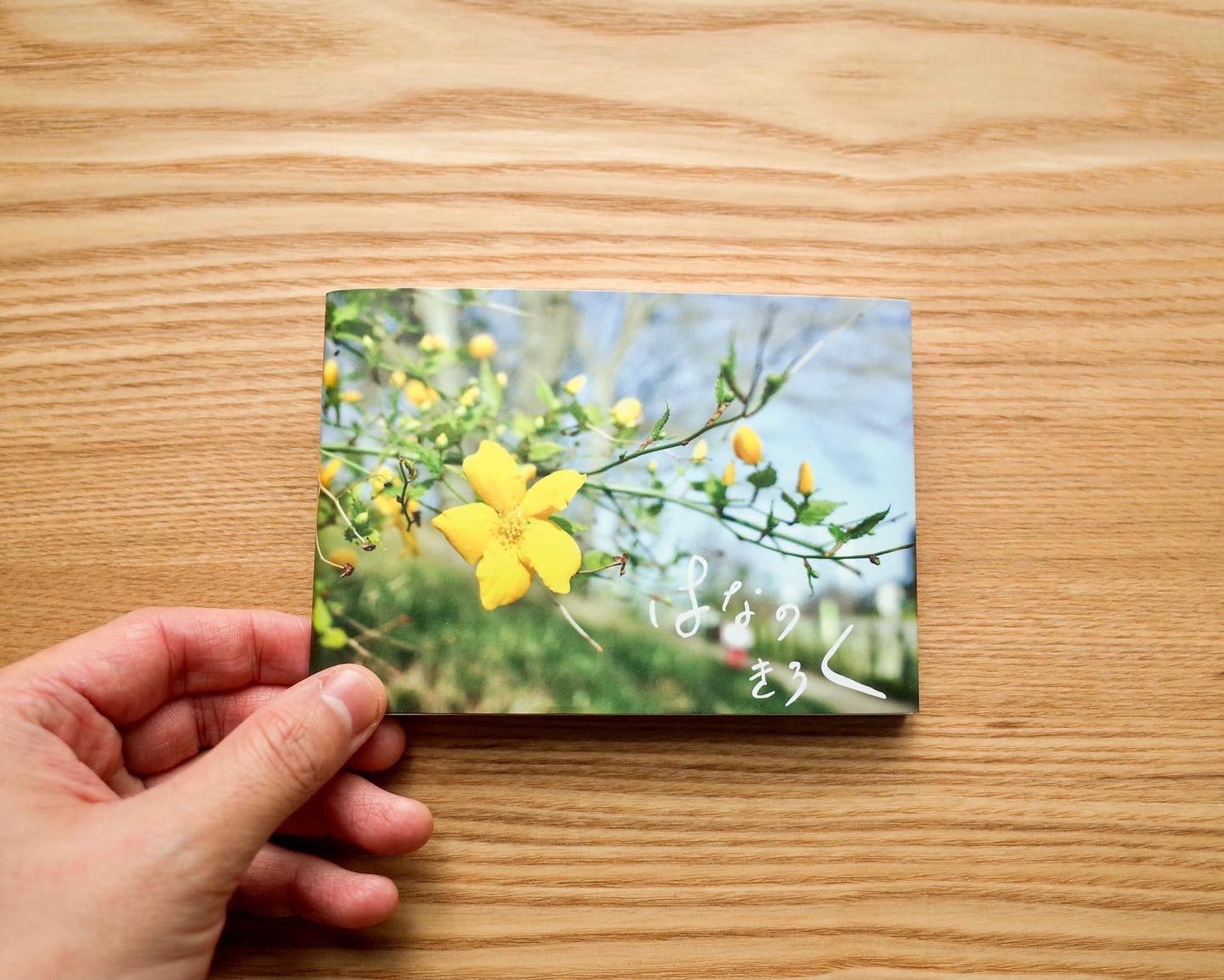 花の写真集　はなのきろく-1