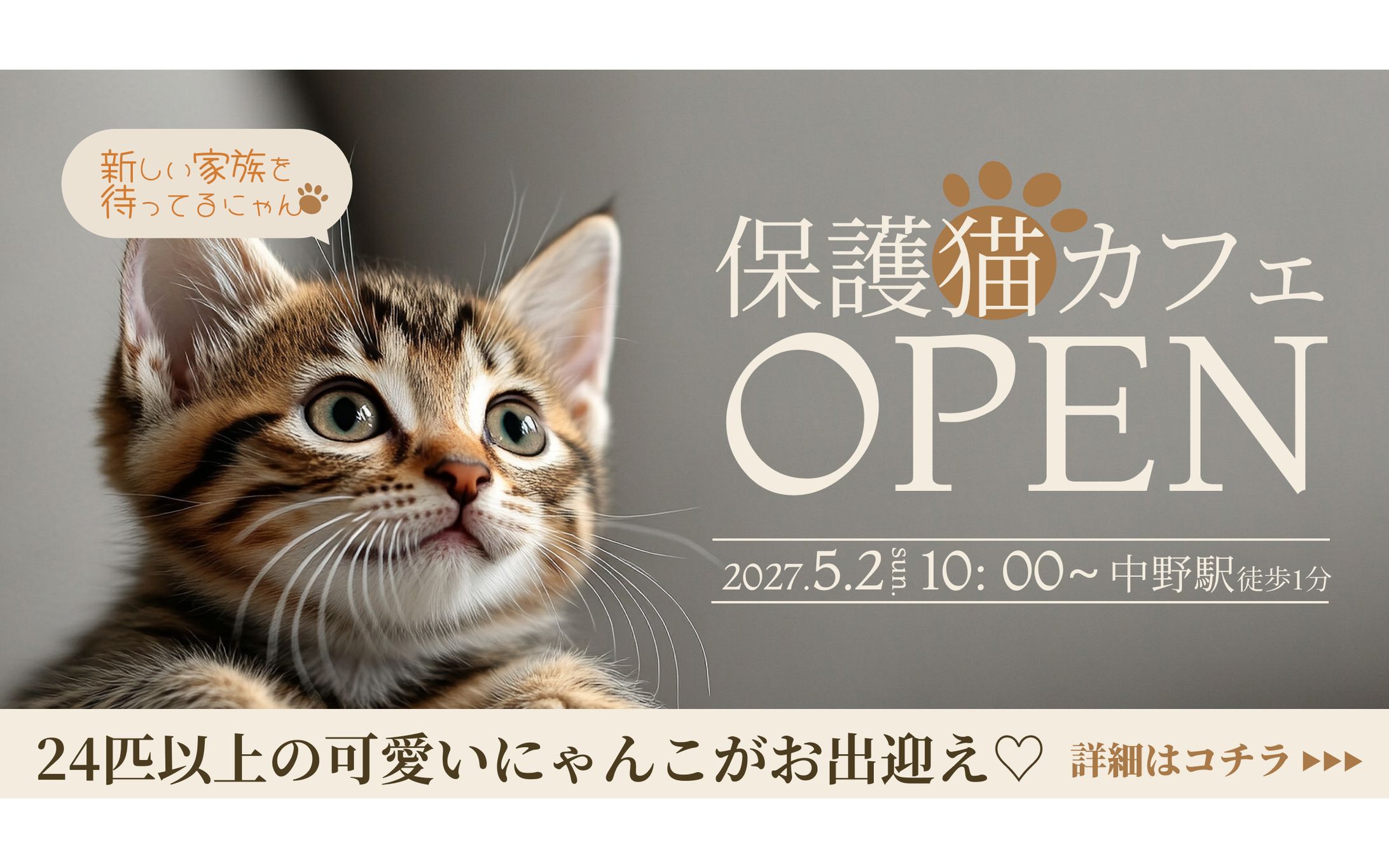 【バナー】保護猫カフェ-1