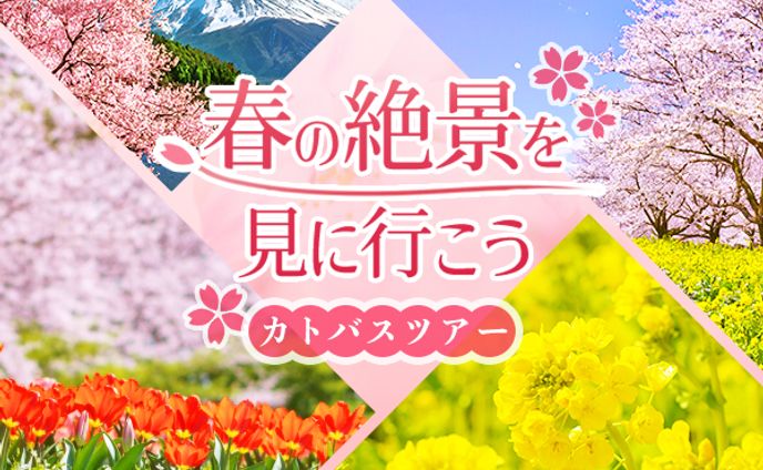 写真加工、創作男女