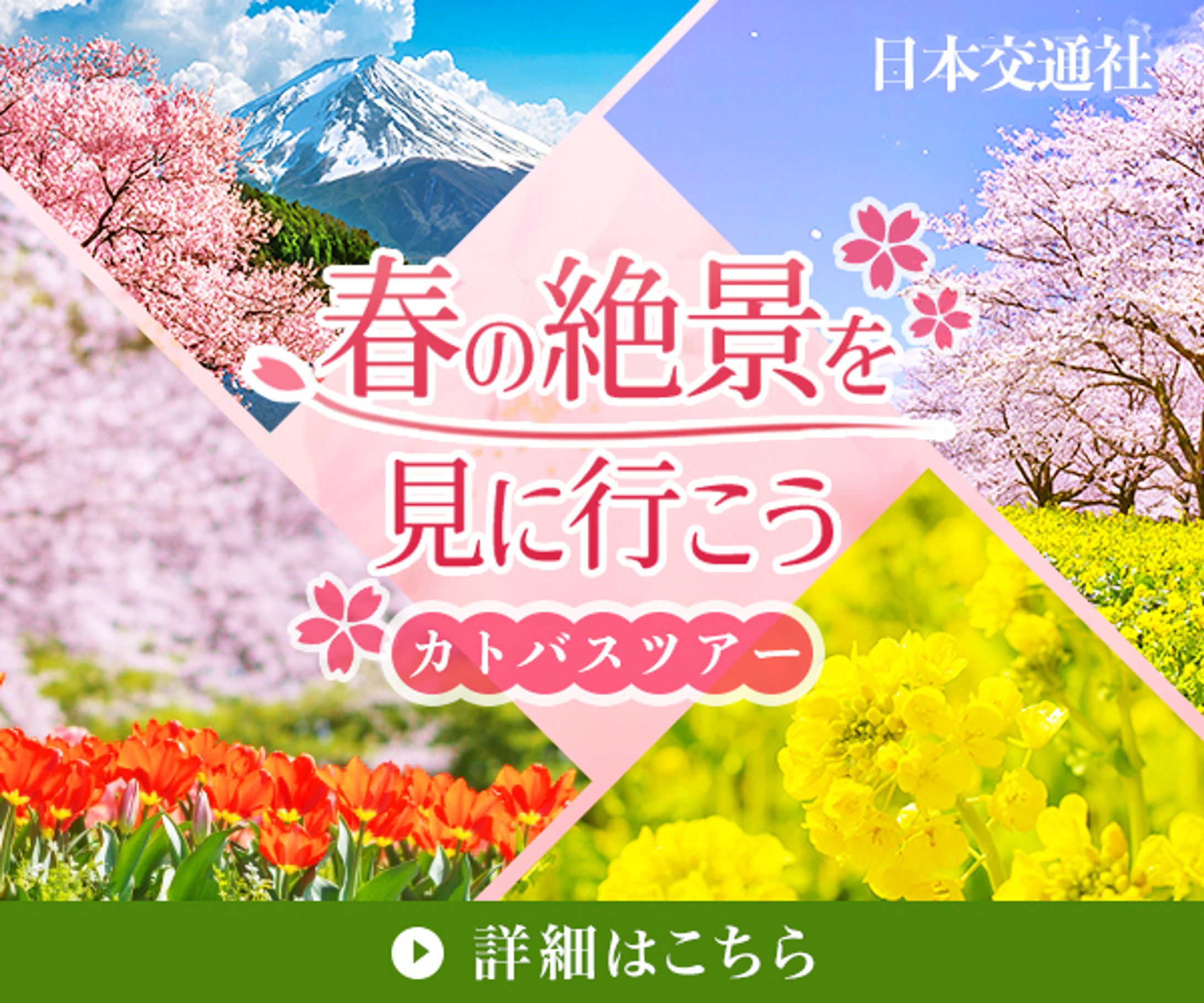 カトバスツアー-1