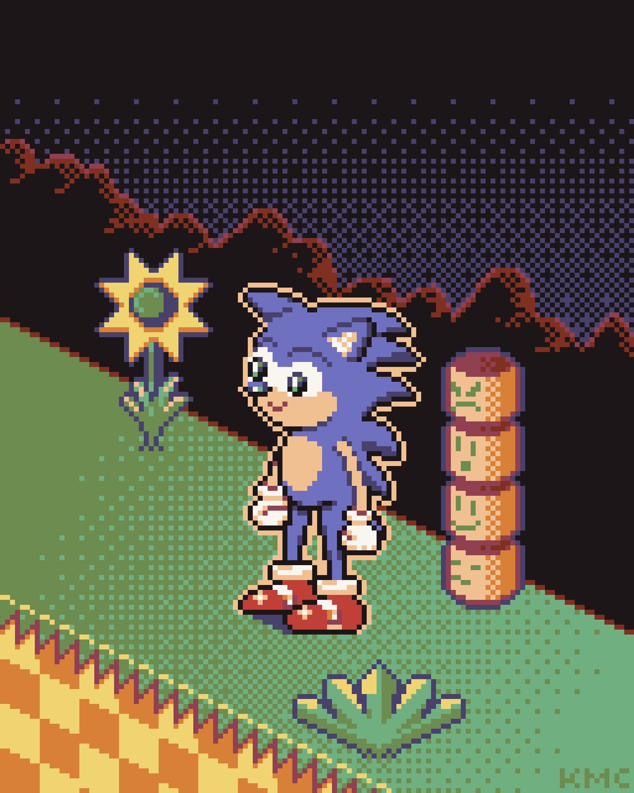 Silly Sonic-1