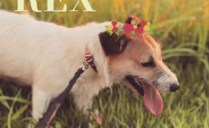 Canva/雑誌風デザイン（4）