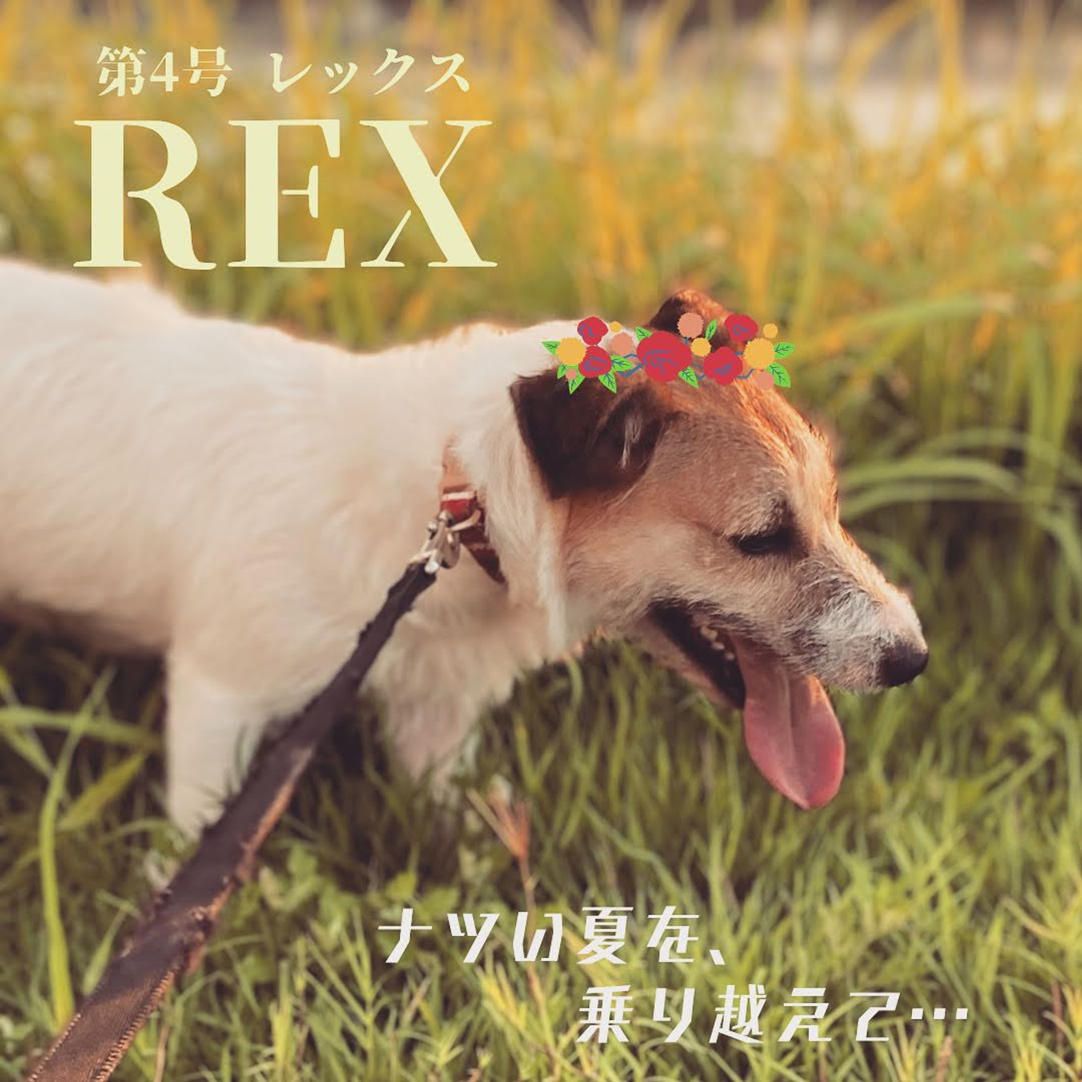 Canva/雑誌風デザイン（4）-1