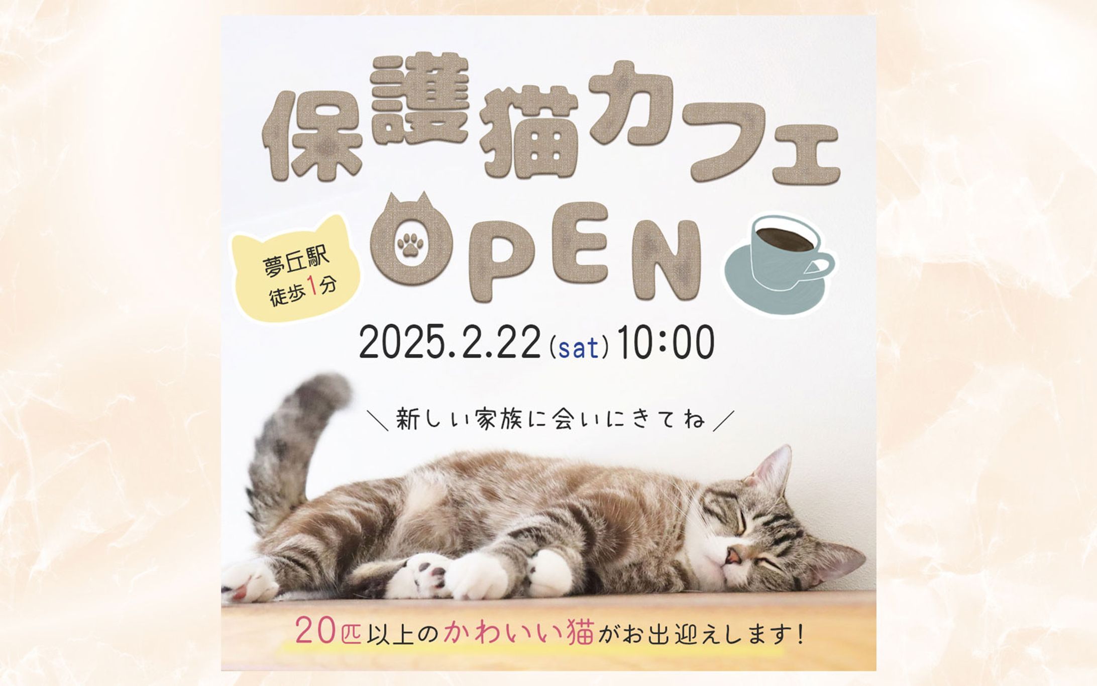 保護猫カフェ｜OPEN告知バナー-1