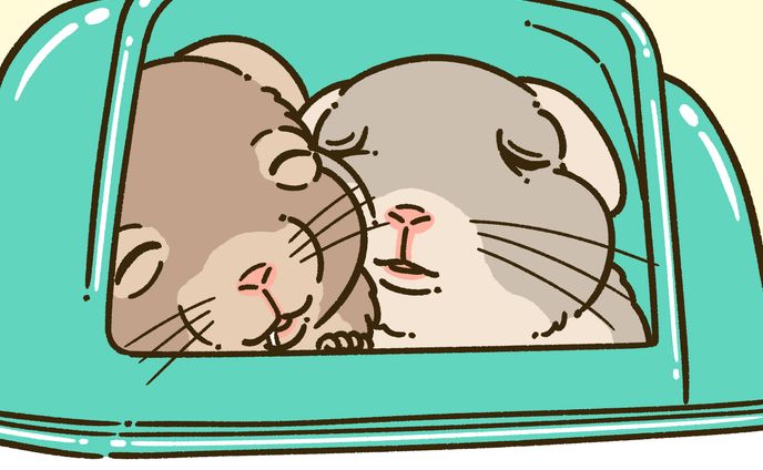 お写真からイラスト化