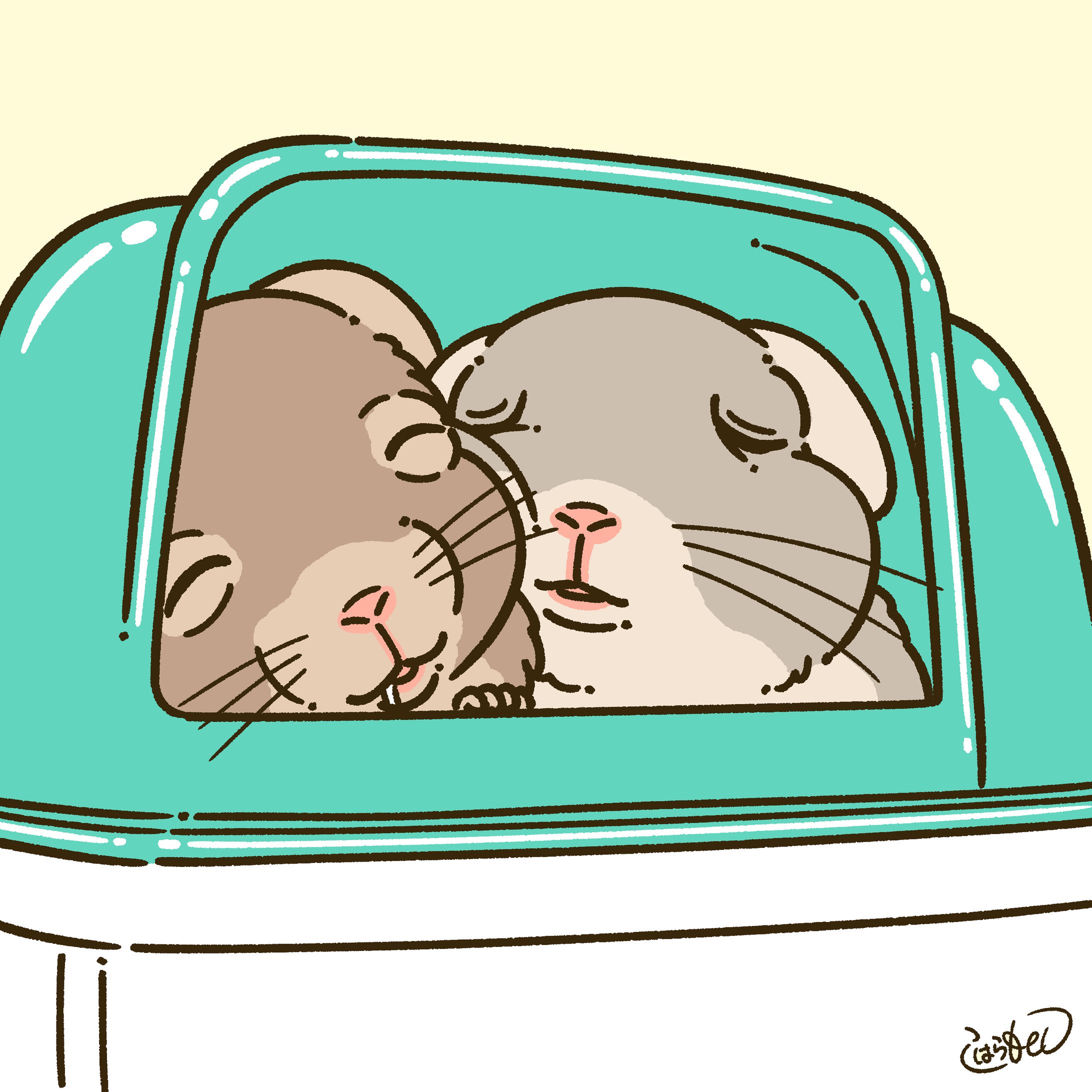 お写真からイラスト化-1