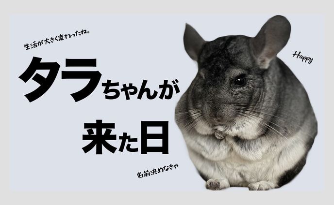 シナリオトレーラー、動物
