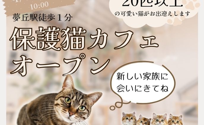 エフェクト、バナー広告