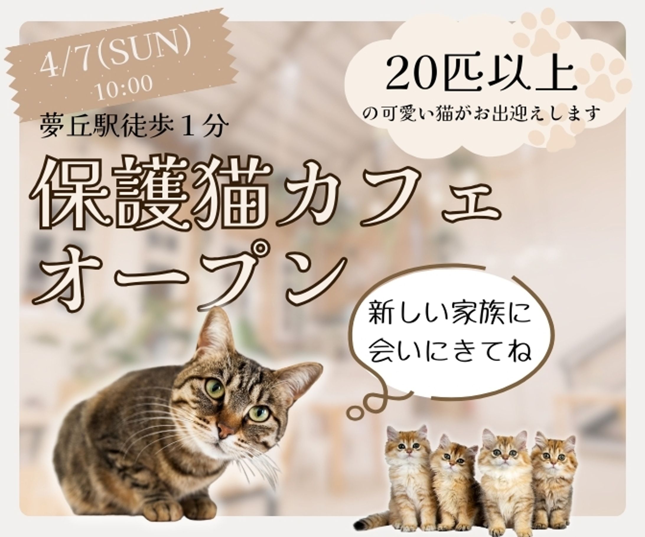 猫カフェ（バナー広告）-1