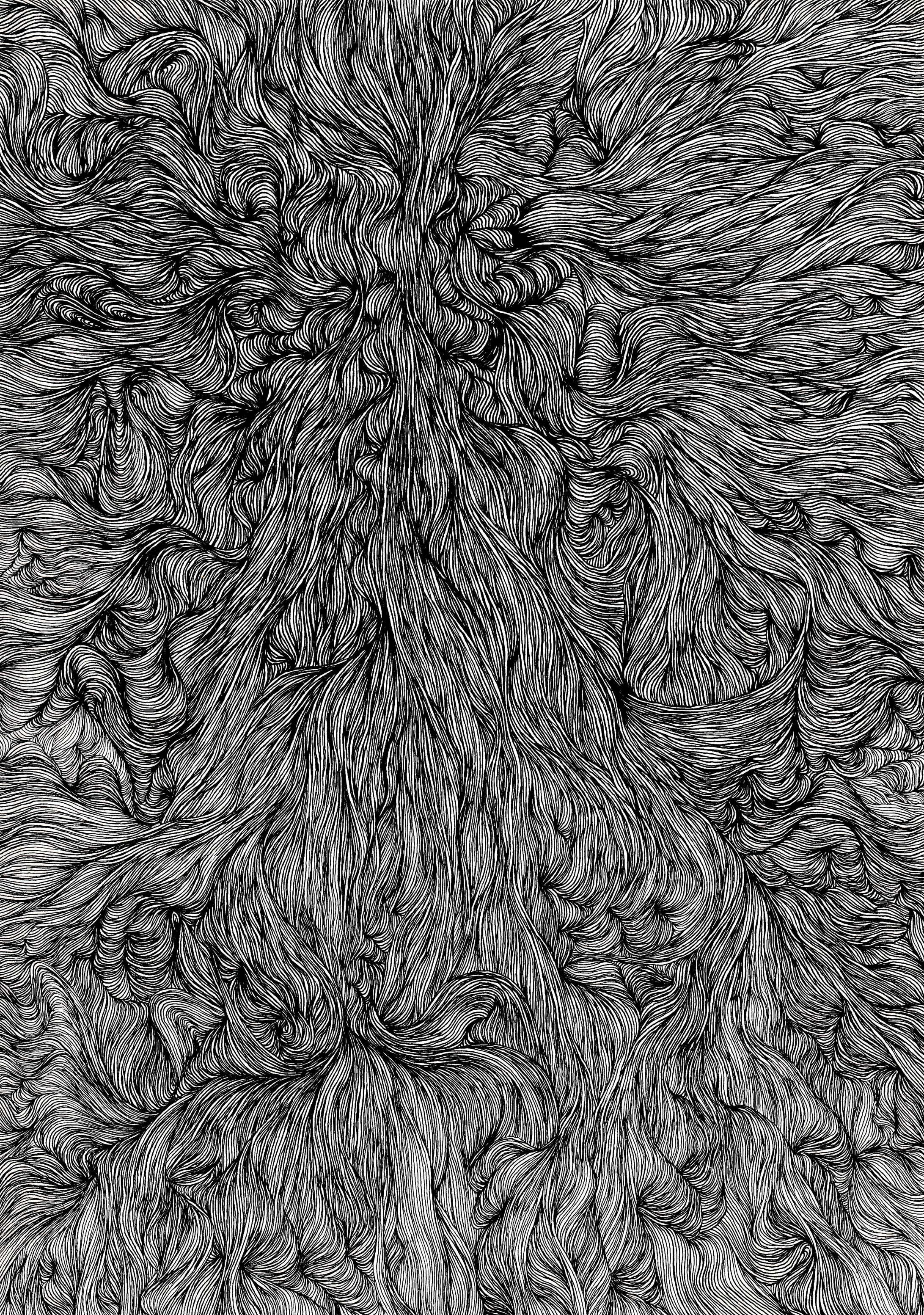 Line/線画-1