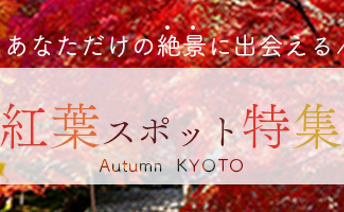 紅葉バナー特集