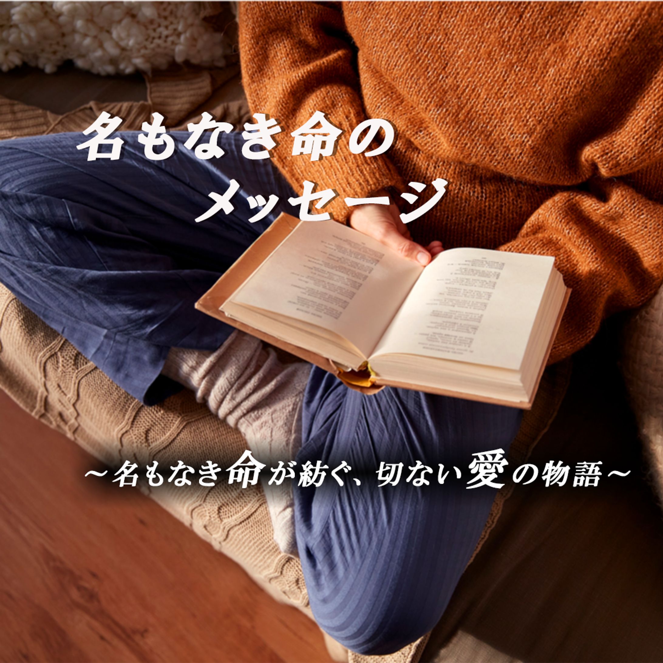 本の魅力を伝えるsns投稿画像の制作-1