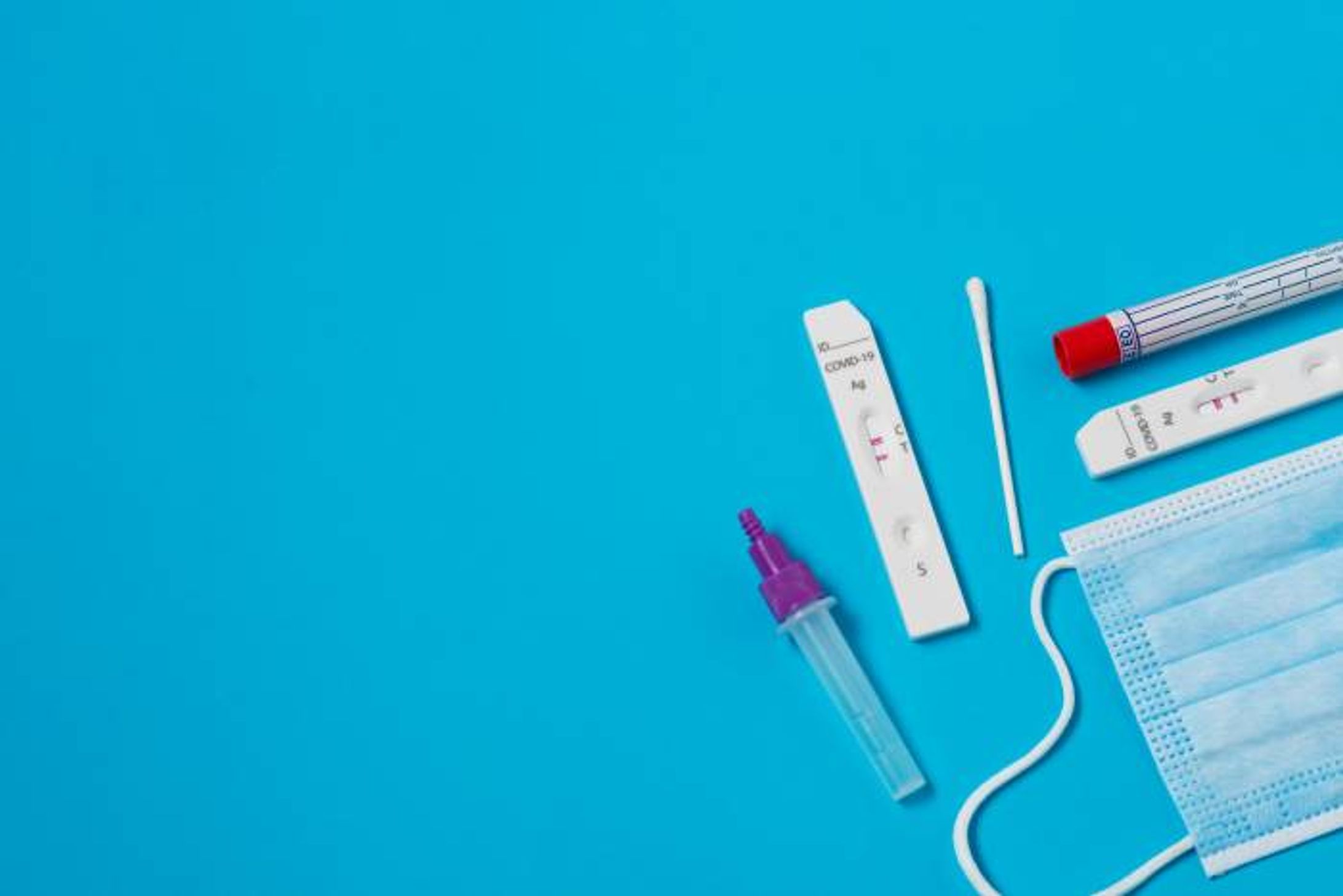 E型肝炎診断検査業界の成長、シェア、規模、洞察の概要と予測 - 2025～2037年-1