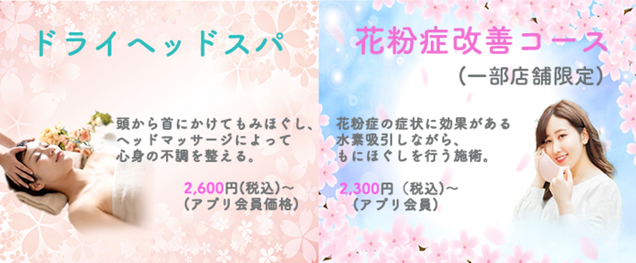 春メニューキービジュアル①-1