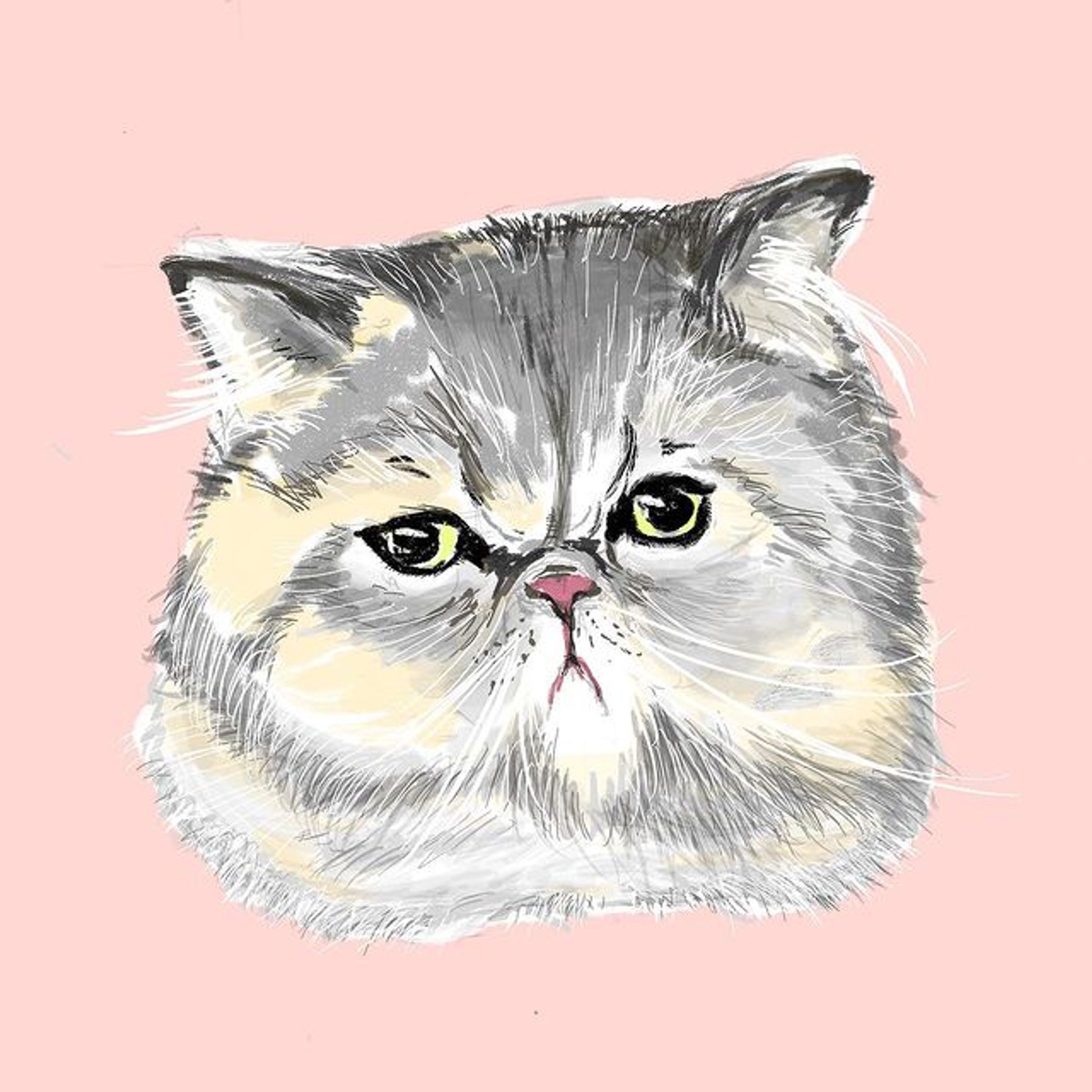 イラストレーション-1