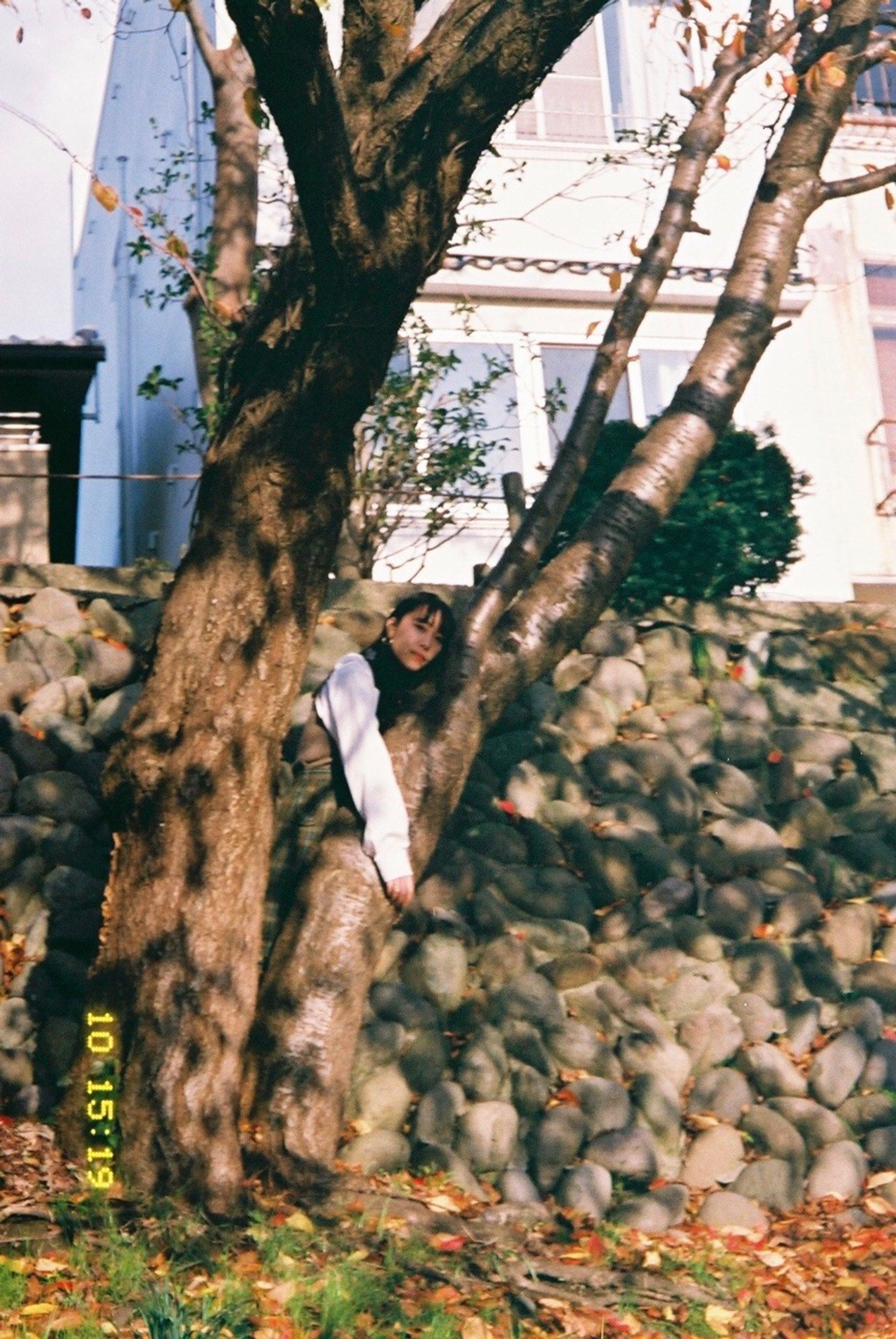 18~19.05 snap-1