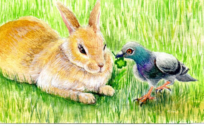 うさぎとハト
