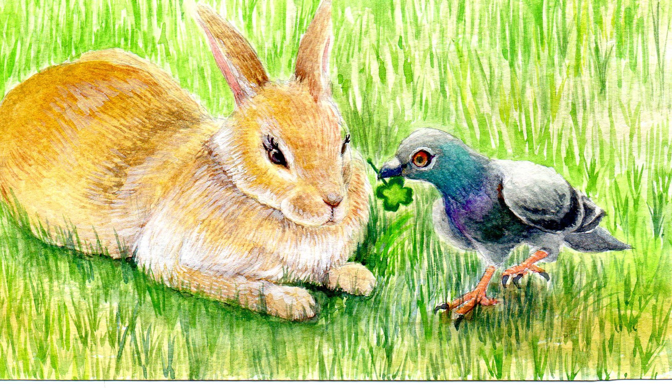 うさぎとハト-1