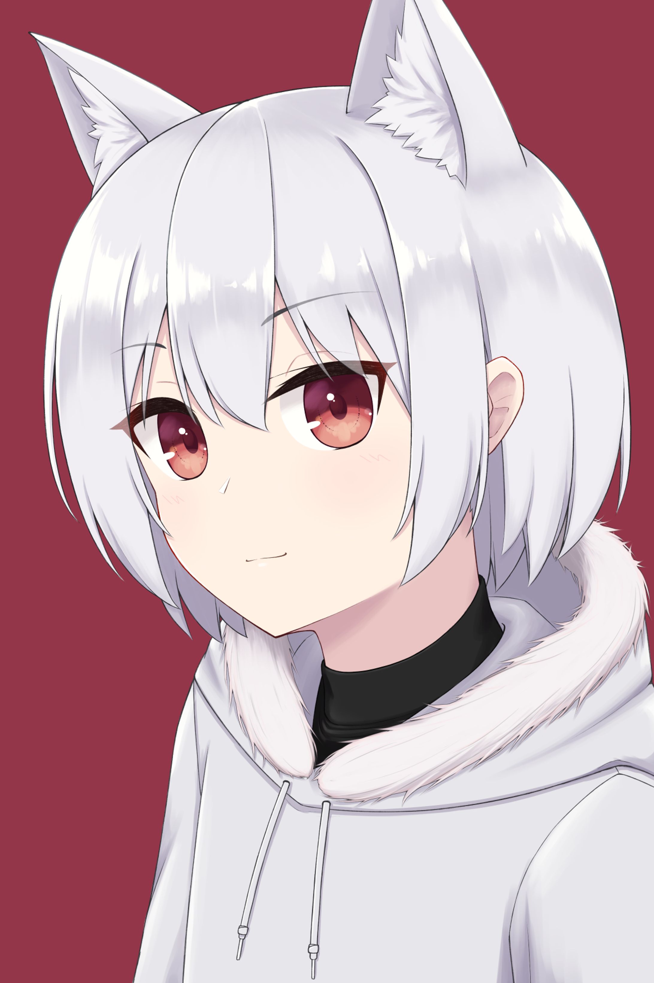 白猫-1