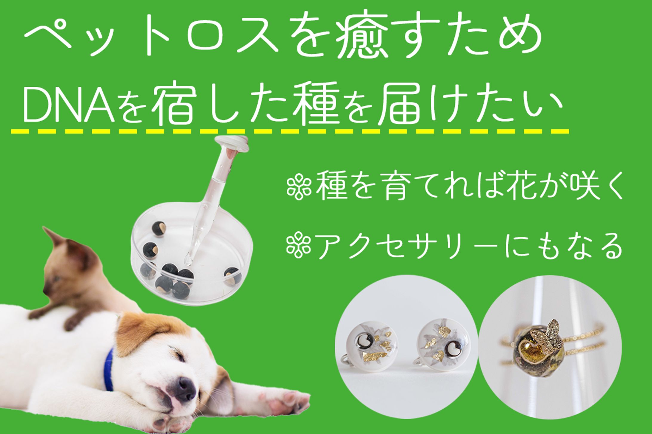 サムネイル作成_クラウドファンディング用-1
