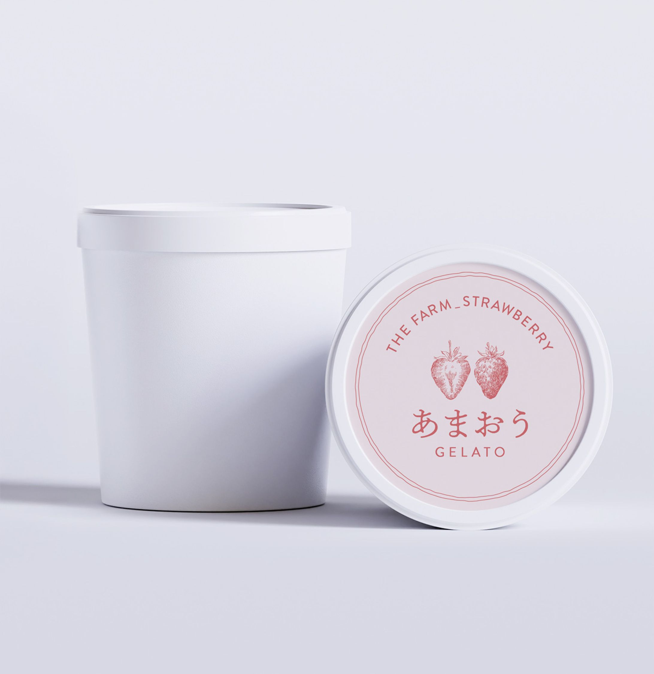 パッケージデザイン-1