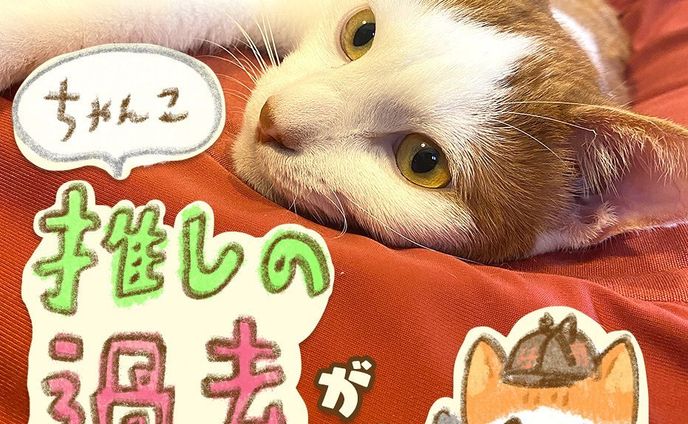 今日10/15はちゃんこの誕生日ということで、久々に漫画？を描きました
みんな自分の推しの過去って、気になるよね…？！😂

#茶白 #茶白猫 #キジ白 #サバ白 #キジシロ#はちわれ #はちわれねこ #ヅラ猫 #にゃんすたぐらむ #ねこすたぐらむ #猫のいる暮らし #猫好きさんと繋がりたい #cat#catstagram #保護猫と暮らす#치즈냥#고등어고양이#橘貓#redtabbyandwhite #마스크 #고등어태비#dailycat#コミックエッセイ#猫漫画#catillustration#猫イラスト#エッセイ漫画#保護猫