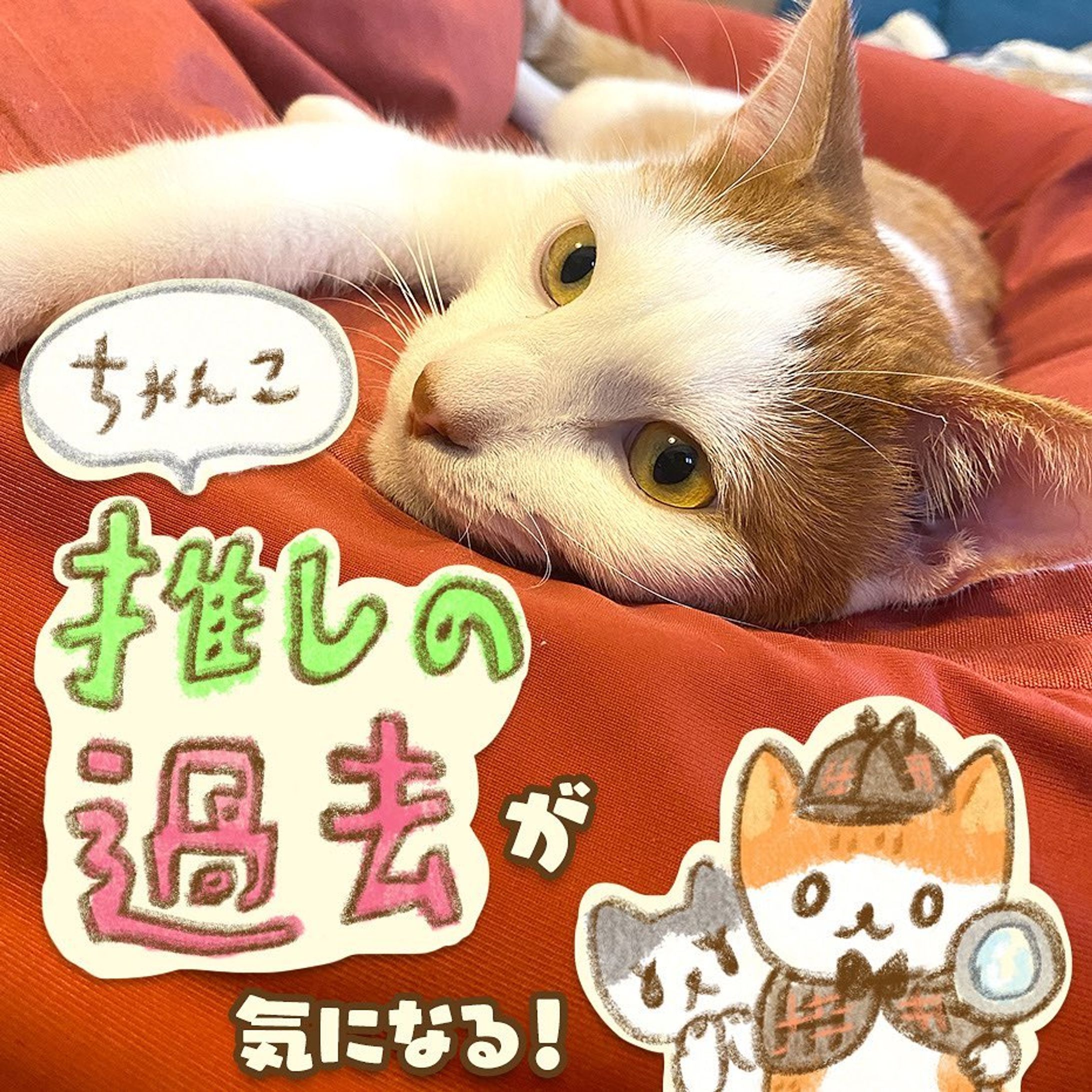 今日10/15はちゃんこの誕生日ということで、久々に漫画？を描きました
みんな自分の推しの過去って、気になるよね…？！😂

#茶白 #茶白猫 #キジ白 #サバ白 #キジシロ#はちわれ #はちわれねこ #ヅラ猫 #にゃんすたぐらむ #ねこすたぐらむ #猫のいる暮らし #猫好きさんと繋がりたい #cat#catstagram #保護猫と暮らす#치즈냥#고등어고양이#橘貓#redtabbyandwhite #마스크 #고등어태비#dailycat#コミックエッセイ#猫漫画#catillustration#猫イラスト#エッセイ漫画#保護猫-1