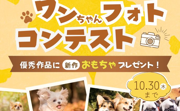 【自主制作】犬のフォトコンテスト
