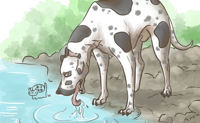 お水ぺろぺろ法玄