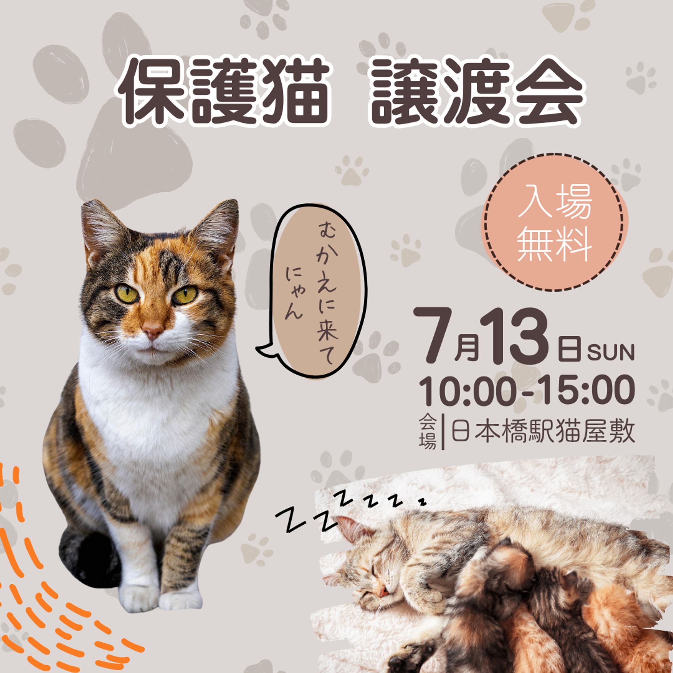 バナー広告 保護猫譲渡会-1