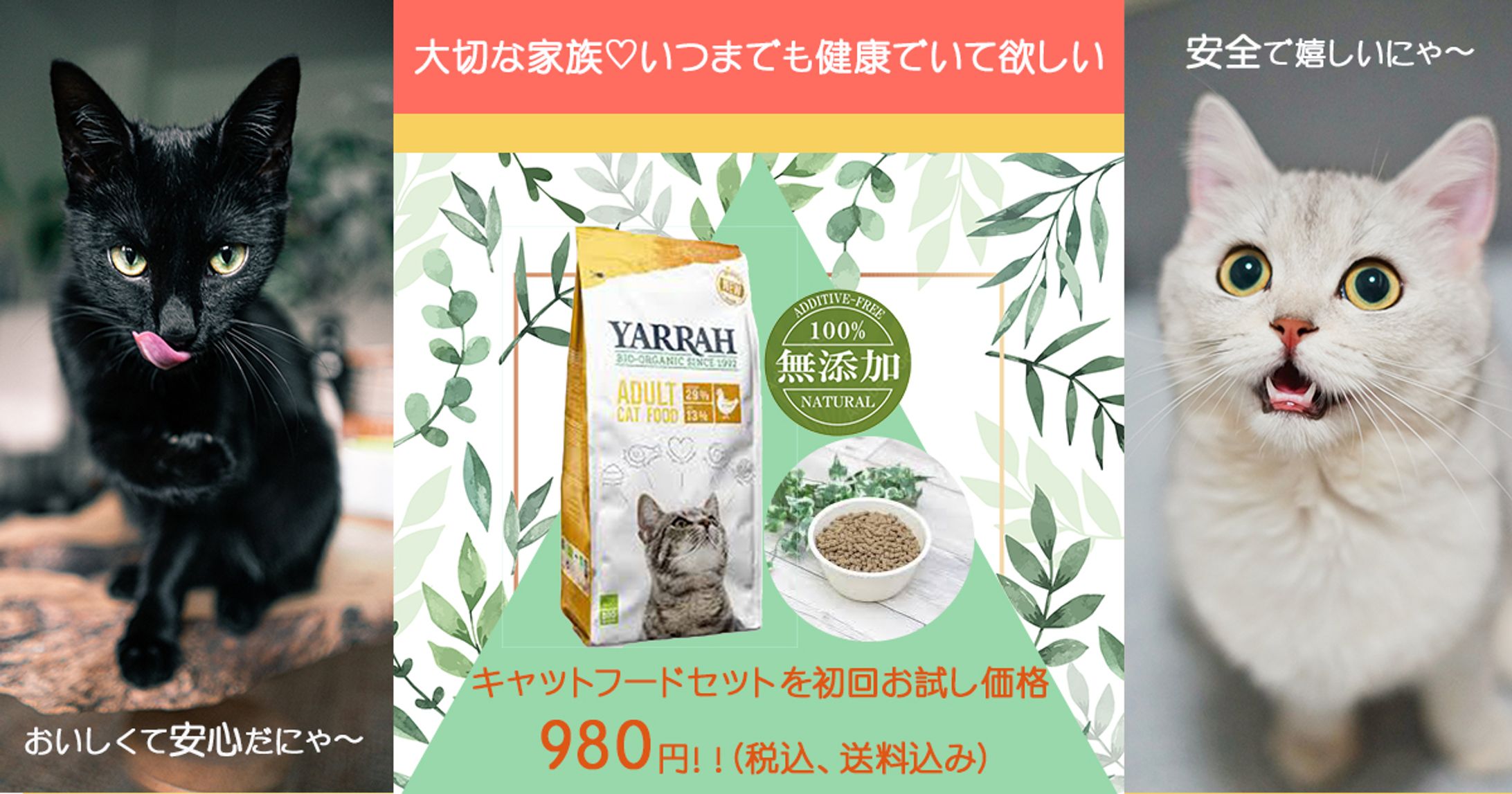 cat food バナー-1