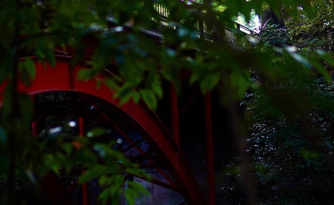 🫡🌉
.
.
.
#photo #photooftheday #fyp #river #japan #japantrip #bridge