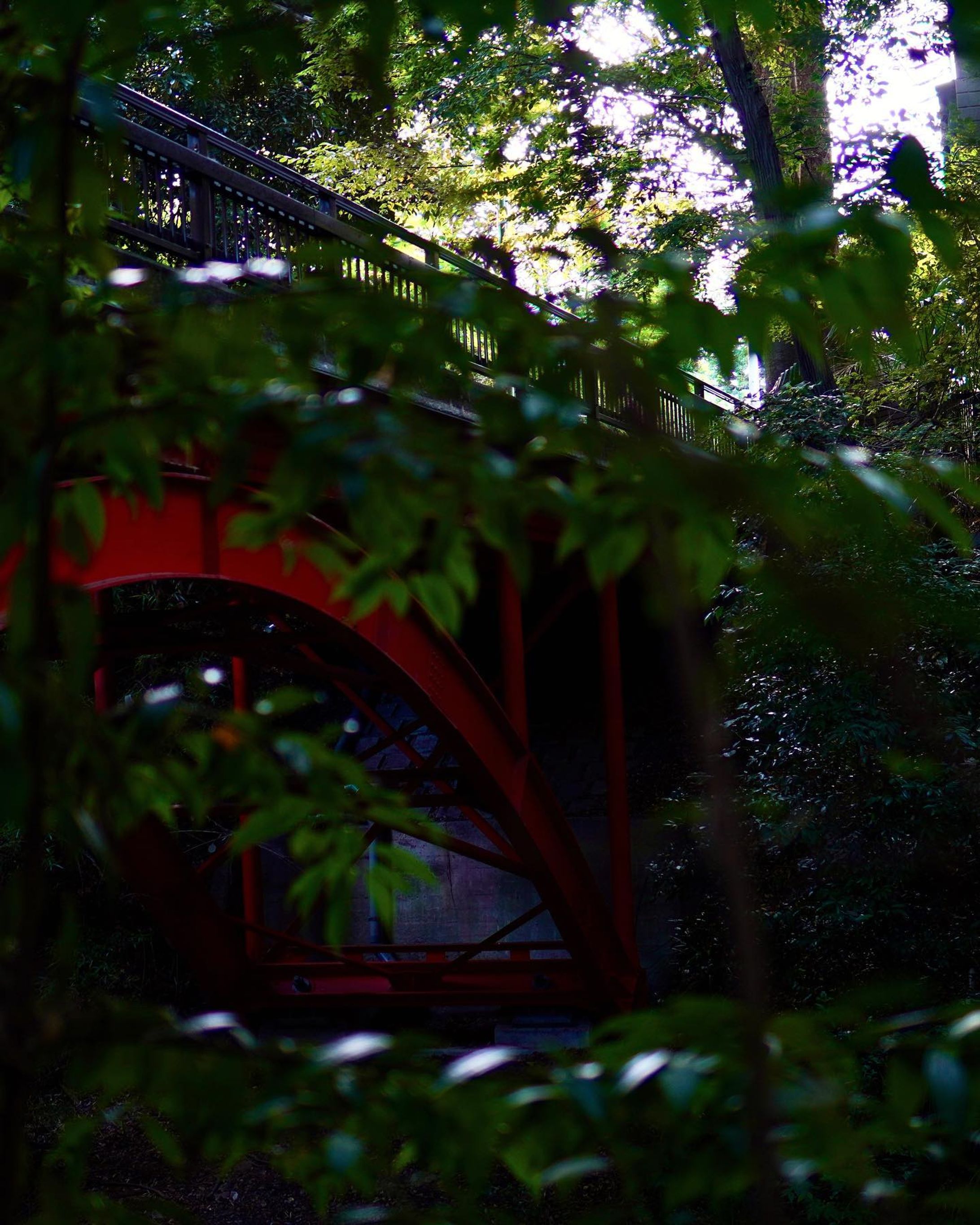 🫡🌉
.
.
.
#photo #photooftheday #fyp #river #japan #japantrip #bridge-1