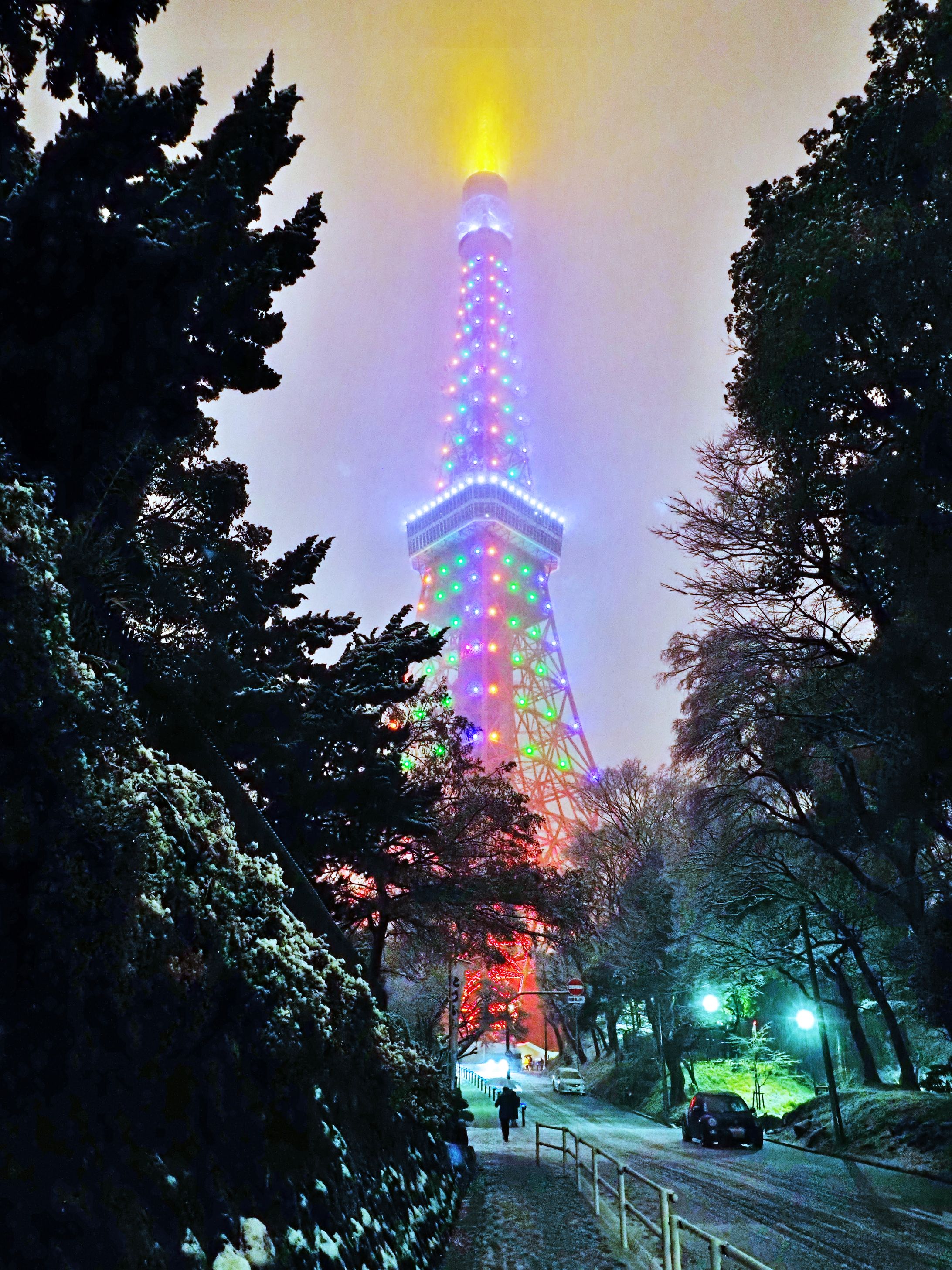 森の中のウインタータワー-1