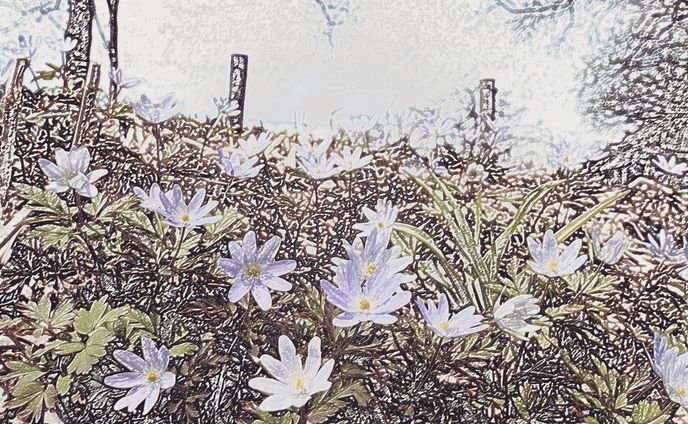 blue kikuzakiichige
青のキクザキイチゲ
edited by using photoshop

#acuarela #アートワーク #acquarelle #watercolorart #watercolor #watercolour #watercolorpainting #watercolorart #アート好きな人と繋がりたい #arte #illustration #artwork #painting #instaart #artgallery #galleryart #contemporaryart #modernart #finearts #watercolorlovers #arte #アート #現代アート