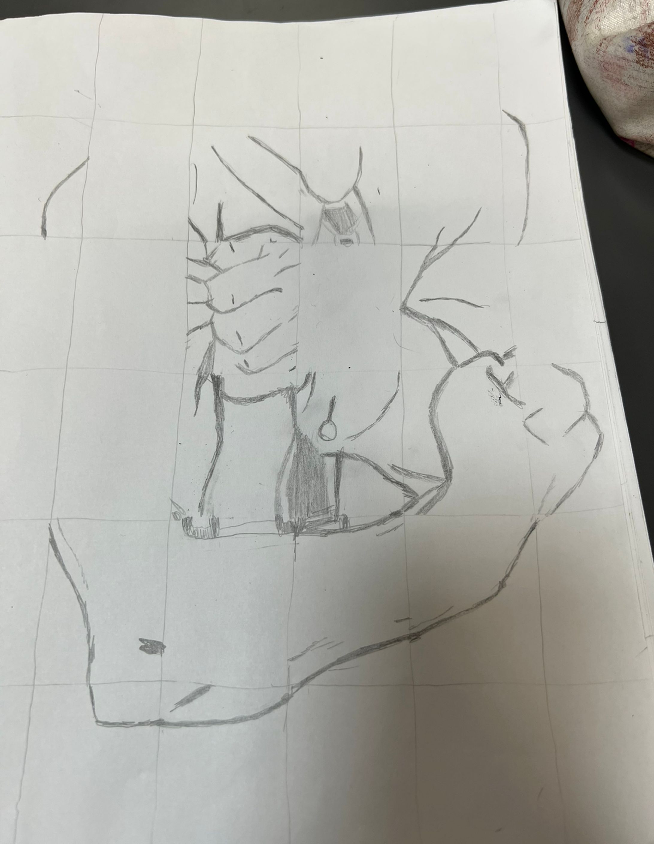 grid drawing-1