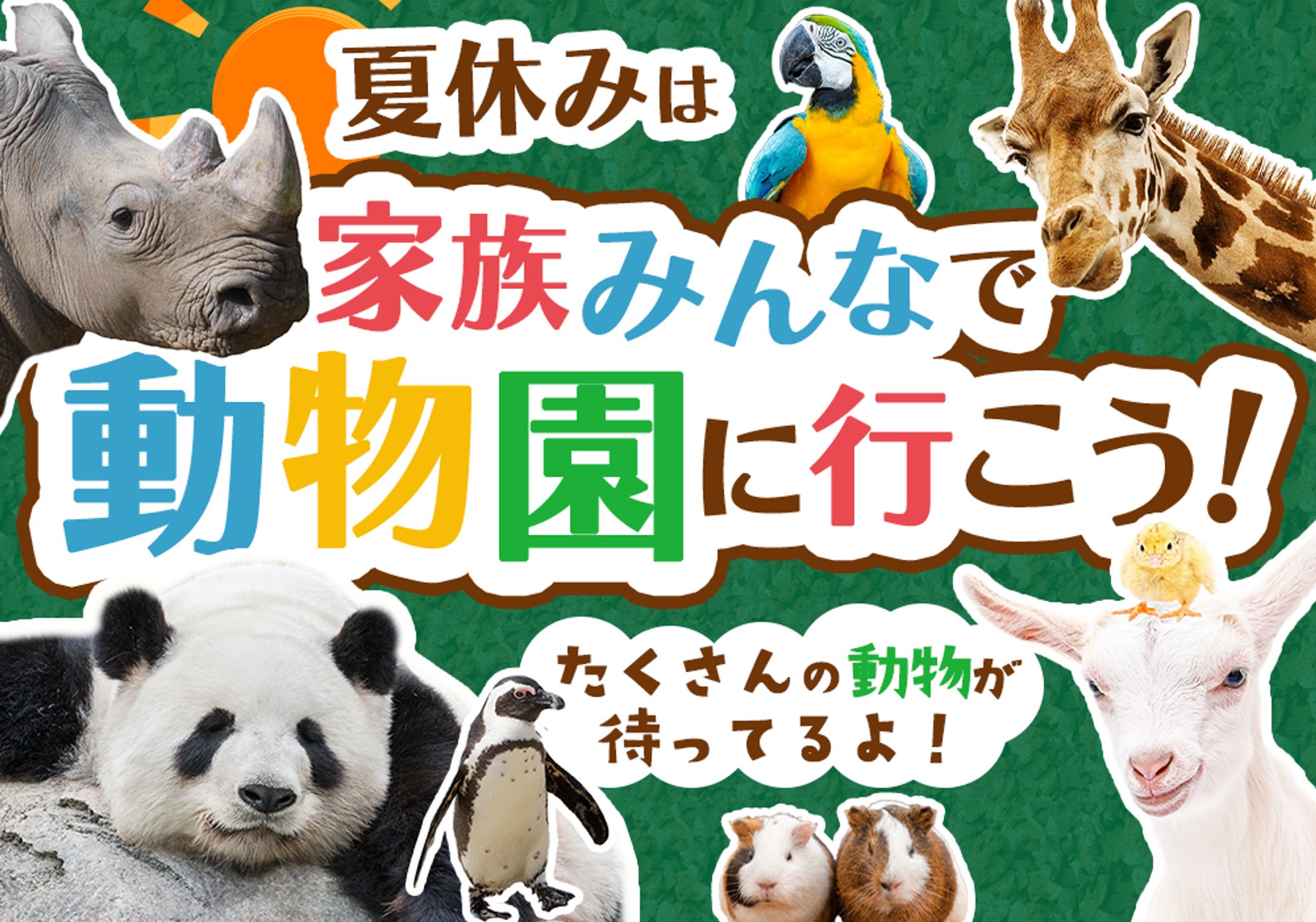動物園集客バナー-1