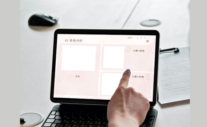 骨格分析結果シート