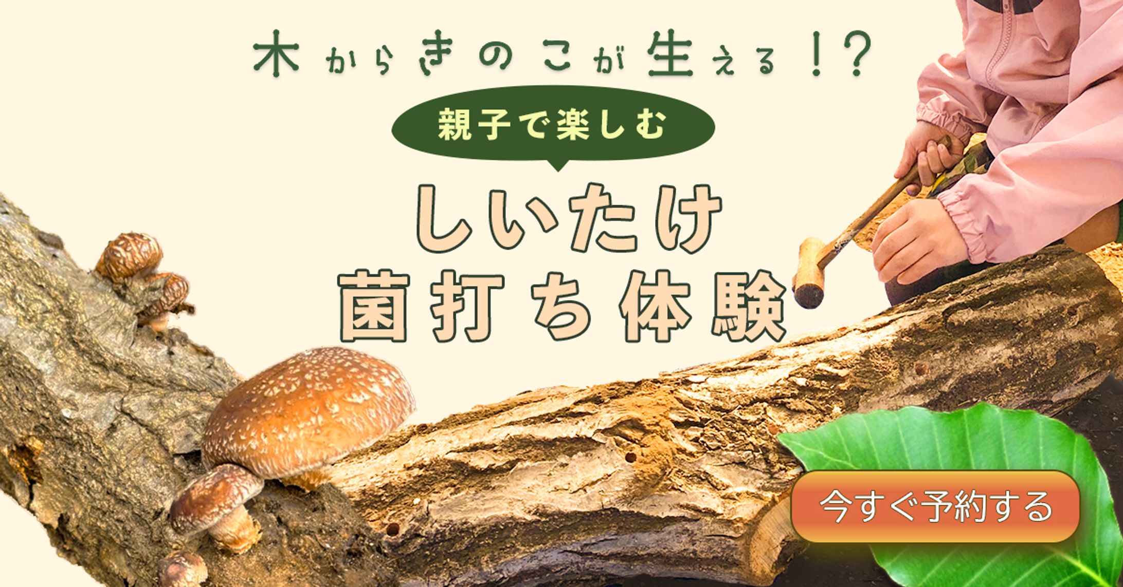 [改善後]しいたけ菌打ち体験（修正版）-1