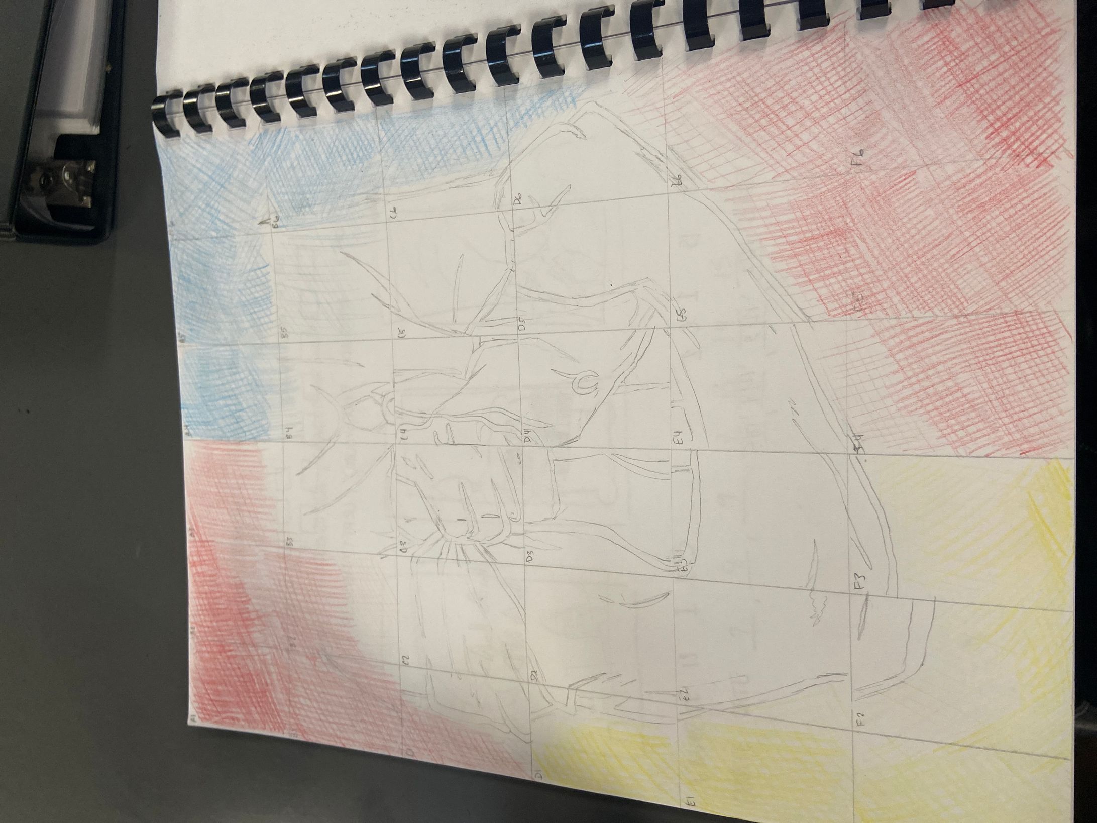 Grid drawing -1