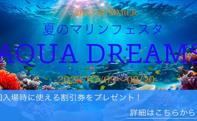 Aqua Dreams