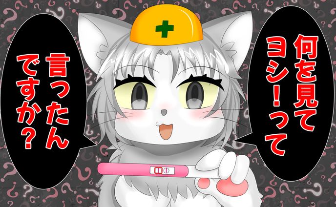 事故猫