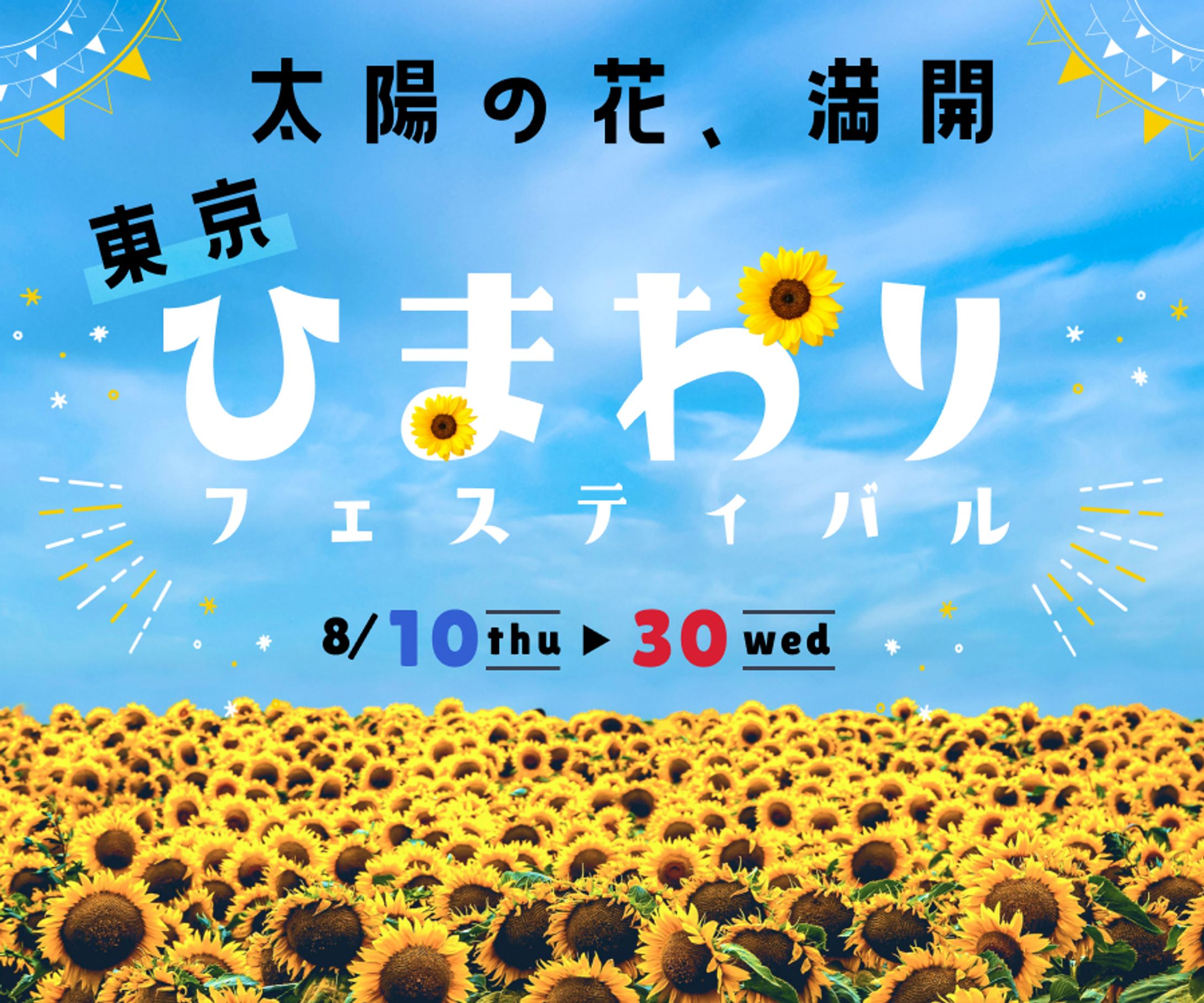 ひまわりフェスティバル2-1